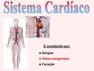 Sistema Cardíaco É constituído por: ,[object Object]