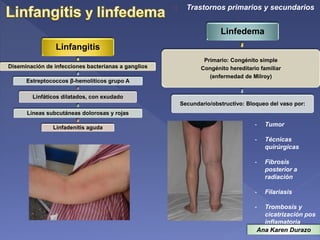 Linfangitis Reticular Vasos Sanguíneos, Patología especial | PPTX