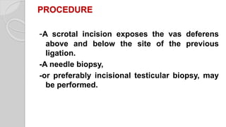 PROCEDURE
-A scrotal incision exposes the vas deferens
above and below the site of the previous
ligation.
-A needle biopsy,
-or preferably incisional testicular biopsy, may
be performed.
 
