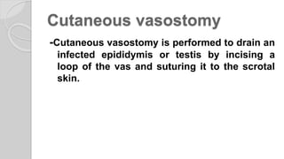 Cutaneous vasostomy
-Cutaneous vasostomy is performed to drain an
infected epididymis or testis by incising a
loop of the vas and suturing it to the scrotal
skin.
 