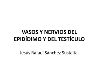 VASOS Y NERVIOS DEL
EPIDÍDIMO Y DEL TESTÍCULO
Jesús Rafael Sánchez Sustaita.
 