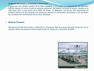  El Museo Municipal y la Biblioteca Amazónica
Cuenta con una variada muestra de la fauna selvática y, con piezas de artesanía de las diferentes
culturas nativas. El museo ocupa los antiguos ambientes del palacio municipal de Iquitos, ubicado en la
calle Napo 224, a unos pasos de la Plaza de Armas. La Biblioteca, una de las más importantes en
América Latina en lo que respecta a la Amazonía, cuenta con hemeroteca, pinacoteca y 132 esculturas
que muestran las indumentarias de las tribus selváticas.
 Malecón Tarapacá
Ubicado en el límite de la ciudad, a orillas del río Amazonas, data de la época del auge del caucho. En su
recorrido ofrece una atractiva vista panorámica del río Amazonas y del puerto de Belén
 