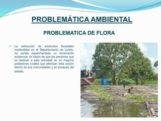 PROBLEMÁTICA AMBIENTAL
PROBLEMATICA DE FLORA
 La extracción de productos forestales
maderables en el Departamento de Loreto,
ha venido experimentado un incremento
sustancial, en razón de que las personas que
se dedican a esta actividad en su mayoría
pobladores rurales que efectúan esta acción
dentro de sus comunidades y en bosques del
estado.
 