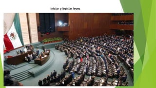 Iniciar y legislar leyes
 