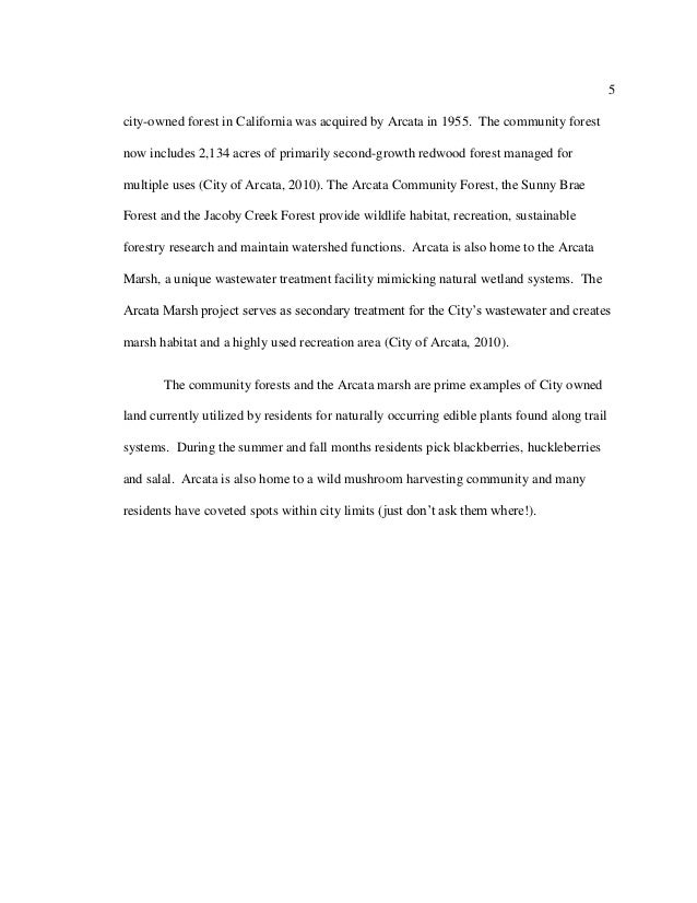 school experiences essay