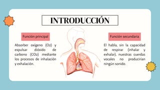 INTRODUCCIÓN
Absorber oxígeno (O2) y
expulsar dióxido de
carbono (CO2) mediante
los procesos de inhalación
y exhalación.
Función principal
El habla, sin la capacidad
de respirar (inhalar y
exhalar), nuestras cuerdas
vocales no producirían
ningún sonido.
Función secundaria
 