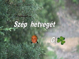 EGY  ESŐS  VASÁRNAP  DÉLUTÁN