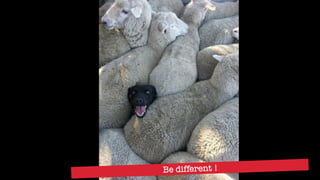 Be different !
 