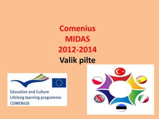 Comenius 
MIDAS 
2012-2014 
Valik pilte 
 