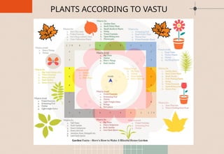 PLANTS ACCORDING TO VASTU
 