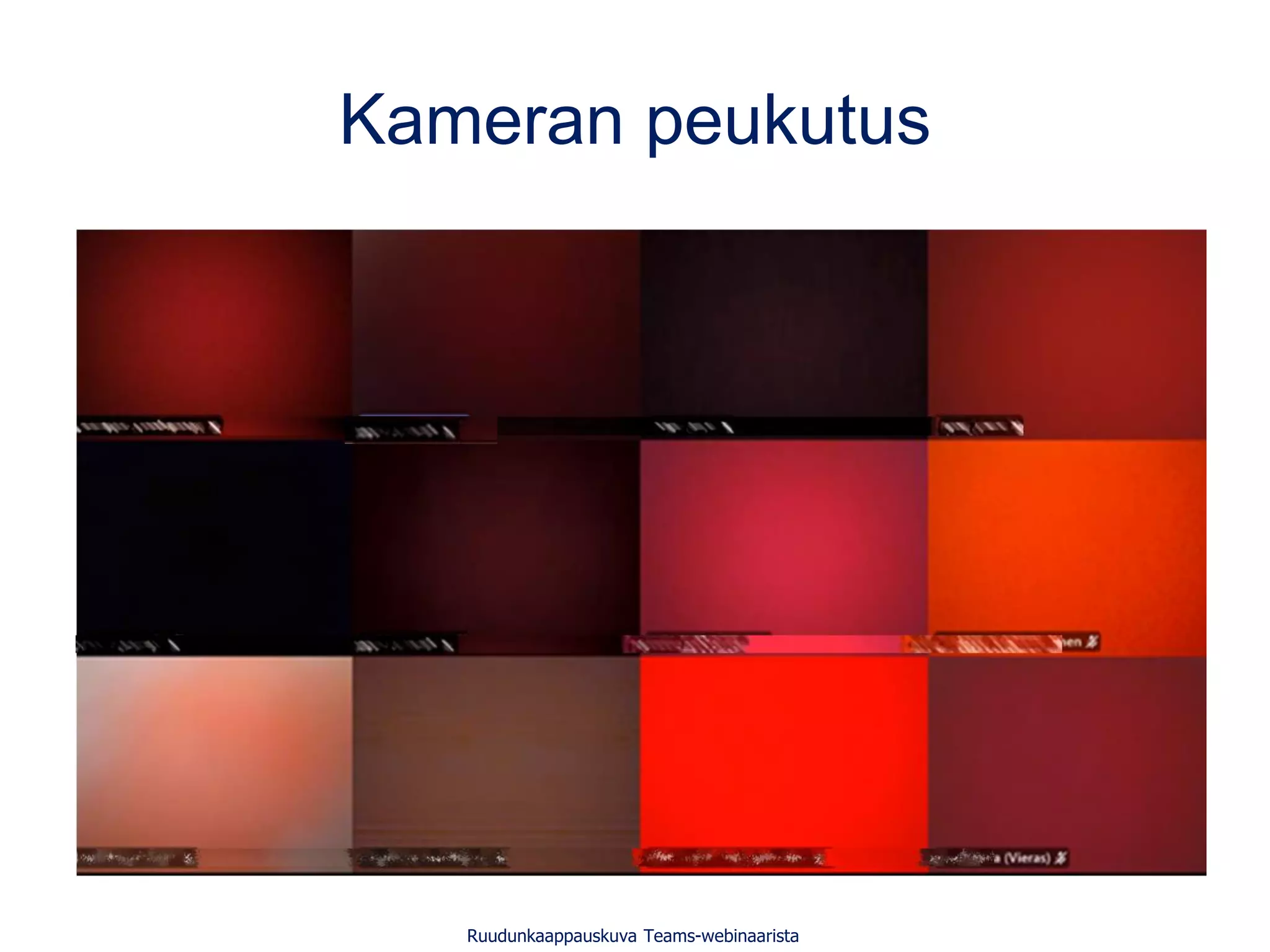 Kameran peukutus
Ruudunkaappauskuva Teams-webinaarista
 