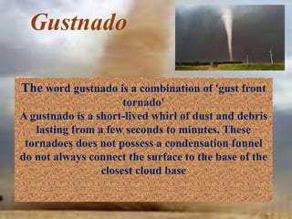 Gustnado
The word gustnado is a combination of 'gust front
tornado'
A gustnado is a short-lived whirl of dust and debris
lasting from a few seconds to minutes. These
tornadoes does not possess a condensation funnel
do not always connect the surface to the base of the
closest cloud base
 