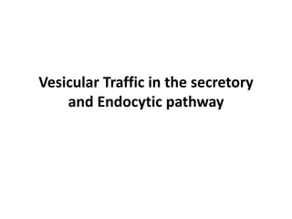 Vesicular Traffic in the secretory
and Endocytic pathway
 