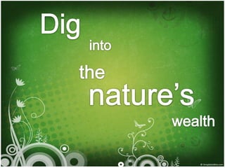 Dig into  the nature’s  wealth 