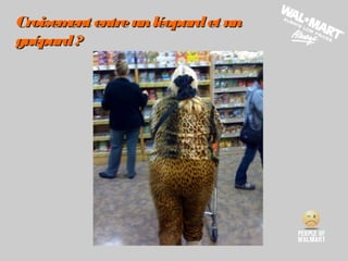 Croisement entreunléopardet unCroisement entreunléopardet un
guépard?guépard?
 