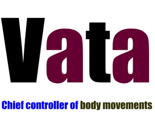 Vata Chief controller of body movements 
 
