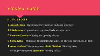 VYANA VAYU
F U N C T I O N S
 Apakshepana – Downward movements of body and structures
 Utkshepana – Upwards movements of body and structures
 Unmesh-Nimesh – Closing and opening of eyes
 Sarva Kriya – Stimulates & accomplishes almost all physical movements of body
 Anna swadan (Taste perception), Stroto Shodhan (Piercing every
cavity/pore/structure), Jrumbha (Yawning reflex)
 