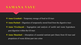 SAMANA VAYU
 Anna Grunhati – Temporary storage of food in GI tract
 Anna Pachati – Digestion of temporarily stored food from the digestive tract
 Anna Vivechayati – Segregation and analysis of useful and waste byproducts
post digestion within the GI tract
 Anna Munchati – Absorption of essential nutrient part (Sara) from GI tract and
propulsion of waste (Kitta) part into colon
 