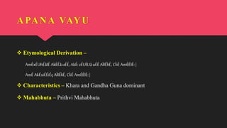 APANA VAYU
 Etymological Derivation –
AmÉxÉUhÉålÉ AkÉÉå uÉÉ, AkÉ: zÉUÏUå uÉÉ AÌlÉÌiÉ, CÌiÉ AmÉÉlÉ: |
AmÉ AkÉxiÉÉiÉç AÌlÉÌiÉ, CÌiÉ AmÉÉlÉ: |
 Characteristics – Khara and Gandha Guna dominant
 Mahabhuta – Prithvi Mahabhuta
 