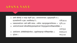 APANA VAYU
 