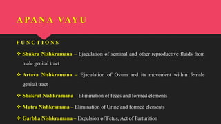 APANA VAYU
F U N C T I O N S
 Shukra Nishkramana – Ejaculation of seminal and other reproductive fluids from
male genital tract
 Artava Nishkramana – Ejaculation of Ovum and its movement within female
genital tract
 Shakrut Nishkramana – Elimination of feces and formed elements
 Mutra Nishkramana – Elimination of Urine and formed elements
 Garbha Nishkramana – Expulsion of Fetus, Act of Parturition
 