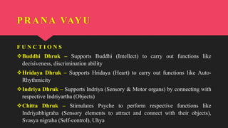 F U N C T I O N S
Buddhi Dhruk – Supports Buddhi (Intellect) to carry out functions like
decisiveness, discrimination ability
Hridaya Dhruk – Supports Hridaya (Heart) to carry out functions like Auto-
Rhythmicity
Indriya Dhruk – Supports Indriya (Sensory & Motor organs) by connecting with
respective Indriyartha (Objects)
Chitta Dhruk – Stimulates Psyche to perform respective functions like
Indriyabhigraha (Sensory elements to attract and connect with their objects),
Svasya nigraha (Self-control), Uhya
PRANA VAYU
 