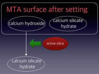 MTA surface after setting
calcium hydroxide
calcium silicate
hydrate
active silica
calcium silicate
hydrate
 