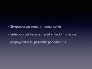 • Streptococcus mutans; dental caries
• Enterococcus faecalis; failed endodontic lesion
• porphyromonas gingivalis; periodontitis
 