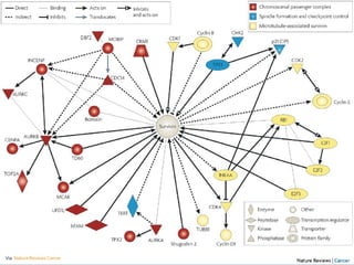Via   Nature Reviews Cancer 