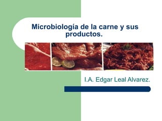 Microbiología de la carne y sus productos.  I.A. Edgar Leal Alvarez. 