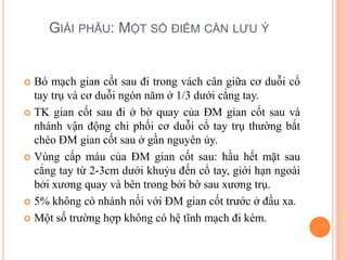 GIẢI PHẪU: MỘT SỐ ĐIỂM CẦN LƯU Ý


 Bó mạch gian cốt sau đi trong vách cân giữa cơ duỗi cổ
  tay trụ và cơ duỗi ngón năm ở 1/3 dưới cẳng tay.
 TK gian cốt sau đi ở bờ quay của ĐM gian cốt sau và
  nhánh vận động chi phối cơ duỗi cổ tay trụ thường bắt
  chéo ĐM gian cốt sau ở gần nguyên ủy.
 Vùng cấp máu của ĐM gian cốt sau: hầu hết mặt sau
  cẳng tay từ 2-3cm dưới khuỷu đến cổ tay, giới hạn ngoài
  bởi xương quay và bên trong bởi bờ sau xương trụ.
 5% không có nhánh nối với ĐM gian cốt trước ở đầu xa.

 Một số trường hợp không có hệ tĩnh mạch đi kèm.
 