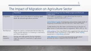 Go or stay: The inter-relation between Migration and Agriculture Policies in Cambodia