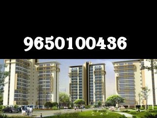 9650100436 Ansal Sector 88A Gurgaon
