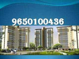 9650100436 Ansal Sector 88A Gurgaon Price