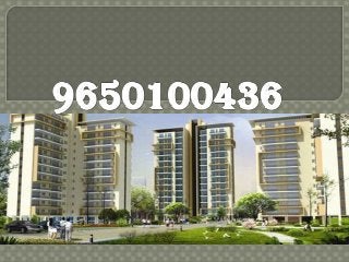 9650100436 Ansal Sector 88A Gurgaon Location