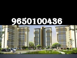 9650100436 Ansal Sector 88A Gurgaon Payment Plan