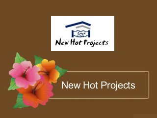 New Hot Projects
 