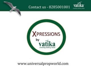 Vatika xpressions Gurgaon Contact us details.   8285-001-001