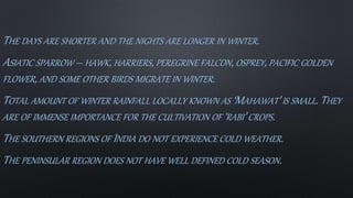 THE DAYS ARE SHORTER AND THE NIGHTS ARE LONGER IN WINTER.
ASIATIC SPARROW – HAWK, HARRIERS, PEREGRINE FALCON, OSPREY, PACIFIC GOLDEN
FLOWER, AND SOME OTHER BIRDS MIGRATE IN WINTER.
TOTAL AMOUNT OF WINTER RAINFALL LOCALLY KNOWN AS ‘MAHAWAT’ IS SMALL. THEY
ARE OF IMMENSE IMPORTANCE FOR THE CULTIVATION OF ‘RABI’ CROPS.
THE SOUTHERN REGIONS OF INDIA DO NOT EXPERIENCE COLD WEATHER.
THE PENINSULAR REGION DOES NOT HAVE WELL DEFINED COLD SEASON.
 