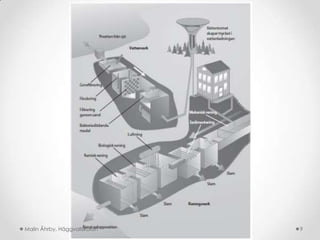 Malin Åhrby, Häggvallskolan   9
 