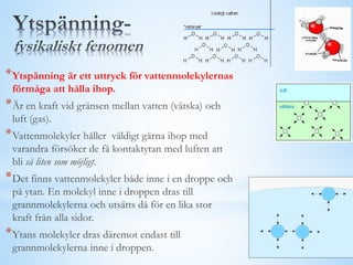 *Ytspänning är ett uttryck för vattenmolekylernas
förmåga att hålla ihop.
*Är en kraft vid gränsen mellan vatten (vätska) och
luft (gas).
*Vattenmolekyler håller väldigt gärna ihop med
varandra försöker de få kontaktytan med luften att
bli så liten som möjligt.
*Det finns vattenmolekyler både inne i en droppe och
på ytan. En molekyl inne i droppen dras till
grannmolekylerna och utsätts då för en lika stor
kraft från alla sidor.
*Ytans molekyler dras däremot endast till
grannmolekylerna inne i droppen.
 
