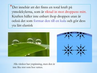*Det innebär att det finns en total kraft på
ytmolekylerna, som är riktad in mot droppens mitt.
Kraften håller inte enbart ihop droppen utan är
också det som formar den till en kula och gör dess
yta lätt elastisk
Alla vätskor har ytspänning, men den är
inte lika stor som hos vatten.
 