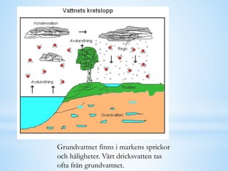 Grundvattnet finns i markens sprickor
och håligheter. Vårt dricksvatten tas
ofta från grundvattnet.
 