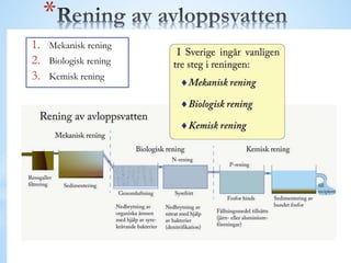 *
1. Mekanisk rening
2. Biologisk rening
3. Kemisk rening
 