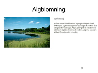 Algblomning
       algblomning

       Under sommaren blommar alger på många stället i
       Östersjön. Algblomning är ett tecken på att vattnet mår
       dåligt av föroreningar. Alger gillar gödsel, och bereder
       därför ut sig i det förorenade vattnet. Algerna kan vara
       giftiga för människor och djur.




                                          12
 