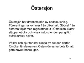 Östersjön

Östersjön har drabbats hårt av nedsmutsning.
Föroreningarna kommer från olika håll. Gödsel från
åkrarna följer med regnvattnet ut i Östersjön. Båtar
släpper ut olja och vissa industrier dumpar giftigt
avfall direkt i havet.

Växter och djur tar stor skada av det och därför
försöker länderna runt Östersjön samarbeta för att
göra havet renare igen.

                                               13
 
