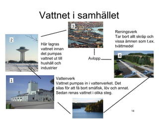 Vattnet i samhället
                      3
                                                 Reningsverk
                                                 Tar bort allt skräp och
2                                                vissa ämnen som t.ex.
    Här lagras                                   tvättmedel
    vattnet innan
    det pumpas
                                                   4
    vattnet ut till             Avlopp
    hushåll och
    industrier

             Vattenverk
1
             Vattnet pumpas in i vattenverket. Det
             silas för att få bort småfisk, löv och annat.
             Sedan renas vattnet i olika steg.



                                                             14
 