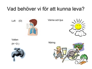 Vad behöver vi för att kunna leva?

  Luft     (O)   Värme och ljus




  Vatten
                  Näring
  (H ² O )
 