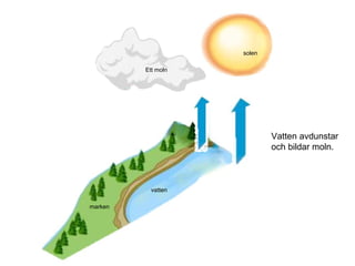 solen

         Ett moln




                            Vatten avdunstar
                            och bildar moln.



           vatten

marken
 