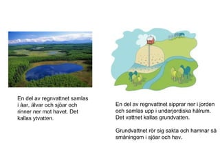 En del av regnvattnet samlas
i åar, älvar och sjöar och     En del av regnvattnet sipprar ner i jorden
rinner ner mot havet. Det      och samlas upp i underjordiska hålrum.
kallas ytvatten.               Det vattnet kallas grundvatten.

                               Grundvattnet rör sig sakta och hamnar så
                               småningom i sjöar och hav.
 